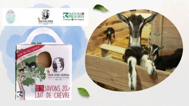 Savons au lait de chèvre et d’ânesse bio sans huile de palme